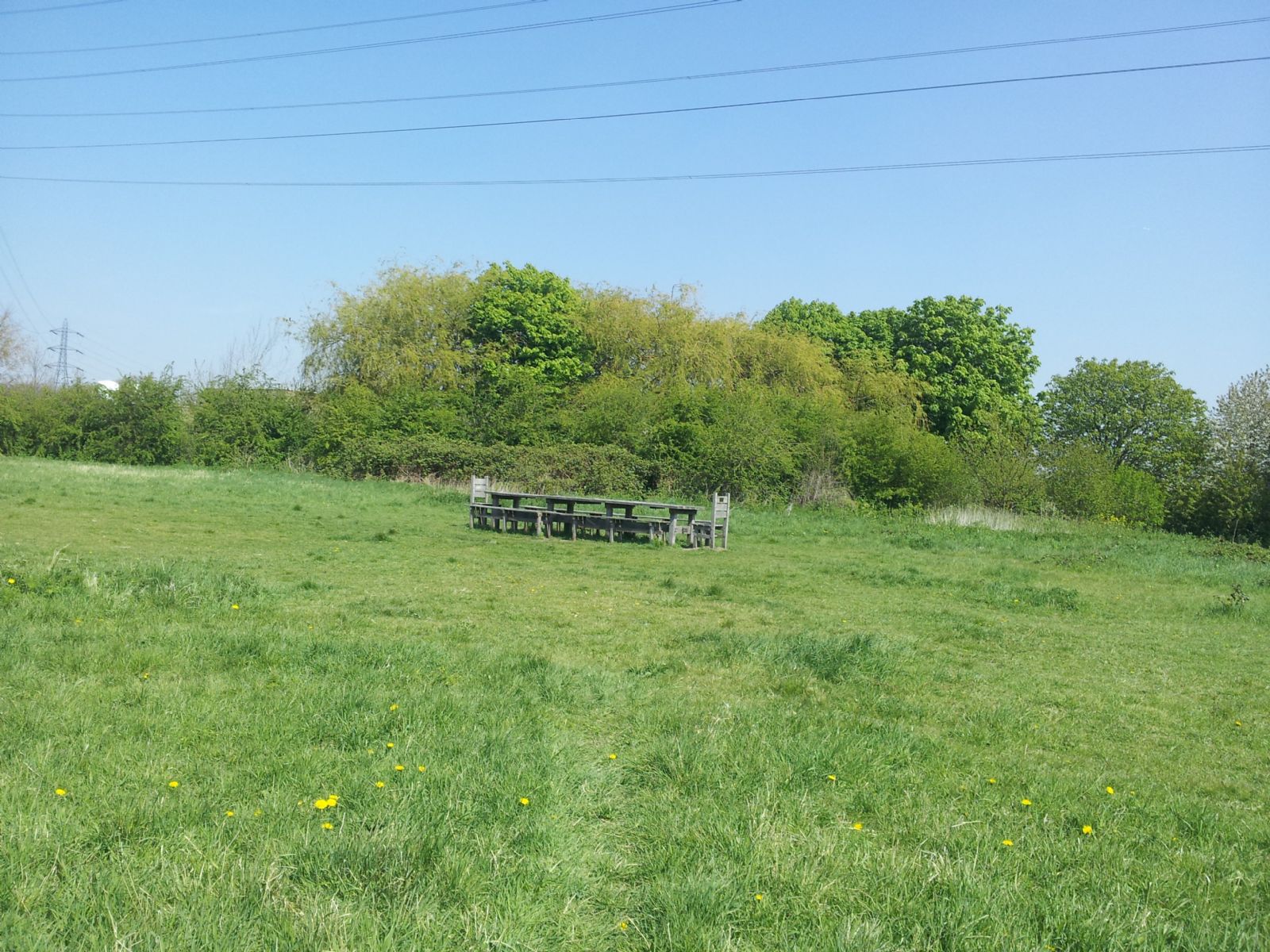 Walthamstow Marshes
